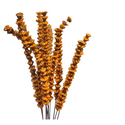 12 Stem Bakuli Flower Branches - Tangerine 